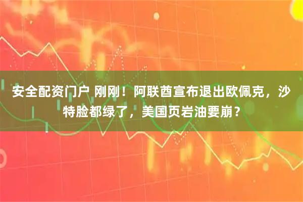 安全配资门户 刚刚！阿联酋宣布退出欧佩克，沙特脸都绿了，美国页岩油要崩？